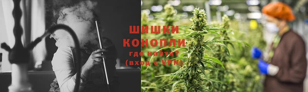 PSILOCYBIN Бугульма